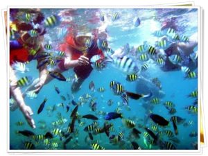 Read more about the article PAKET SPEEDBOAT PULAU HARAPAN 2 HARI 1 MALAM