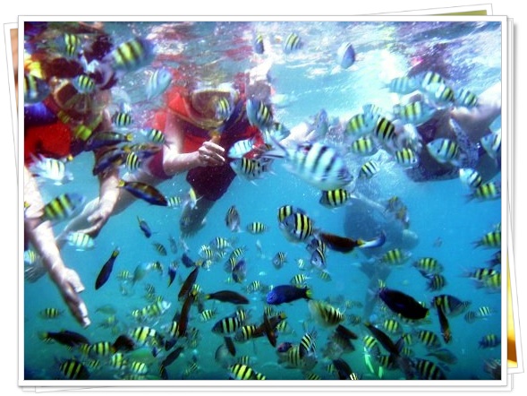 Read more about the article PAKET SPEEDBOAT PULAU HARAPAN 2 HARI 1 MALAM