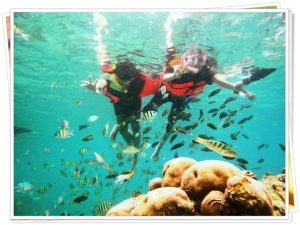 Read more about the article PAKET LENGKAP PULAU HARAPAN 3 HARI 2 MALAM