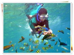 Read more about the article PAKET LENGKAP PULAU HARAPAN 2 HARI 1 MALAM